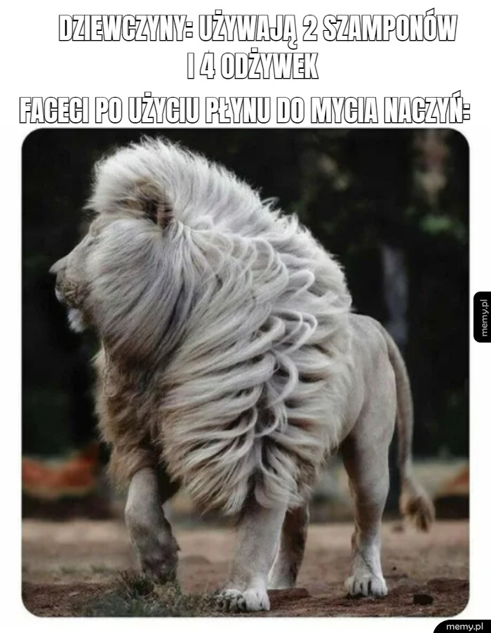 Jak to jest możliwe?