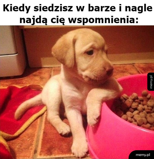 Fala wspomnień