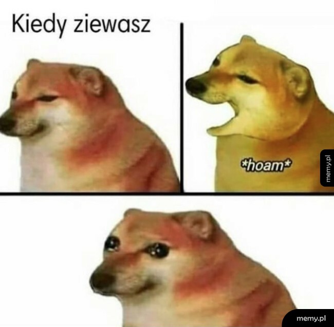 Kiedy ziewasz