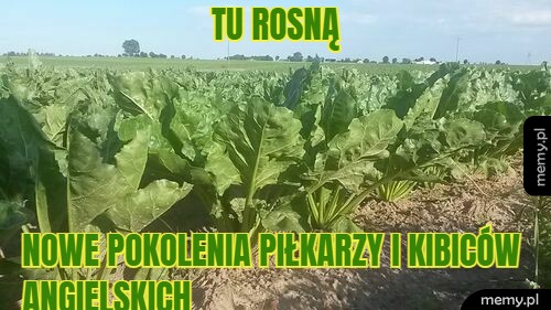 Tu rosną nowe pokolenia piłkarzy i kibiców angielskich