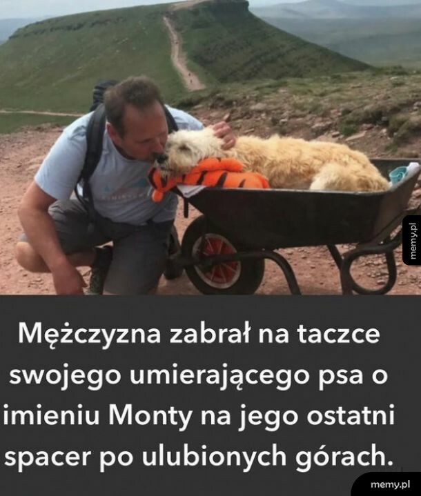 Szacun