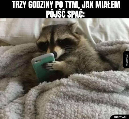 Zawsze to samo