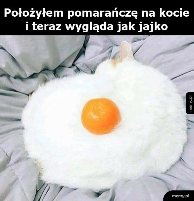 Wierne odwzorowanie