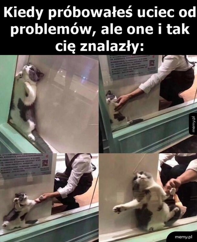 Ucieczka od problemów