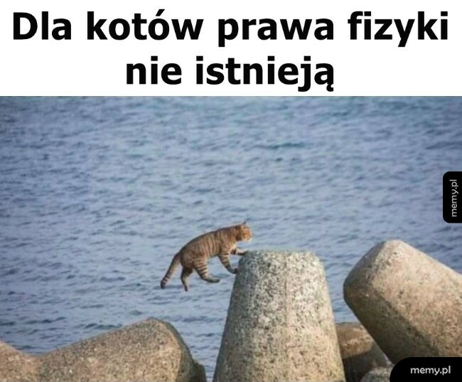 Prawa fizyki