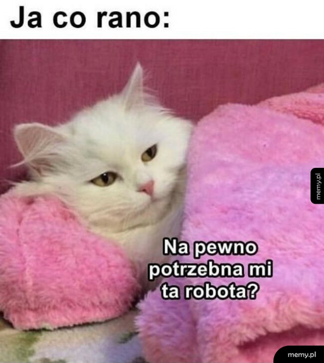 Ja co rano