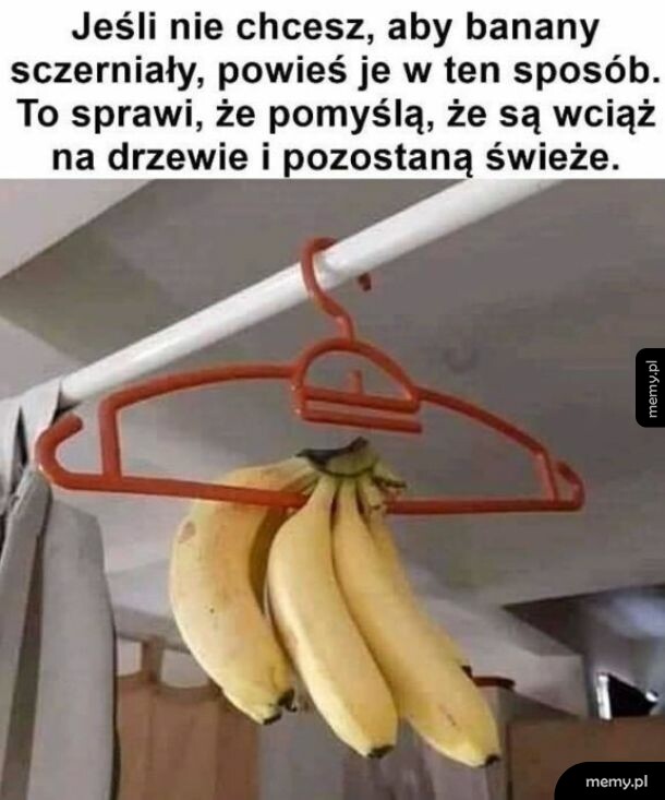 Protip