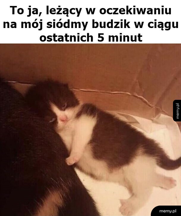 Poranki bywają ciężkie