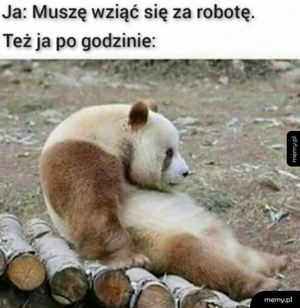 Praca, praca