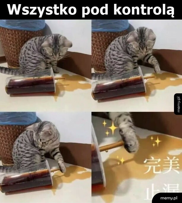 Wszystko pod kontrolą