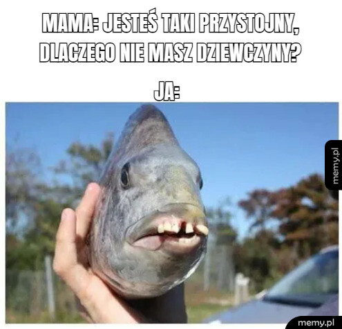 Prawdziwy przystojniak :D