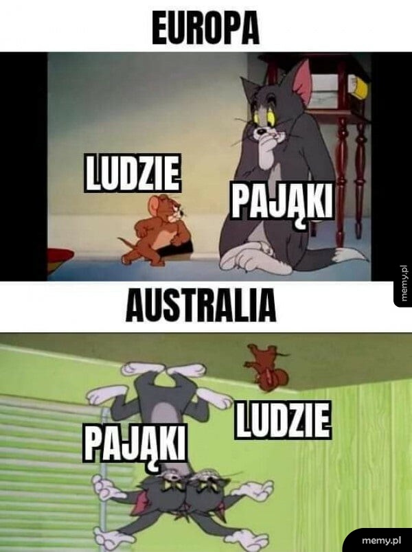 Europa vs. Australia