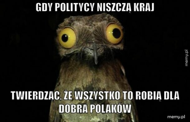 W zasadzie to już tradycja