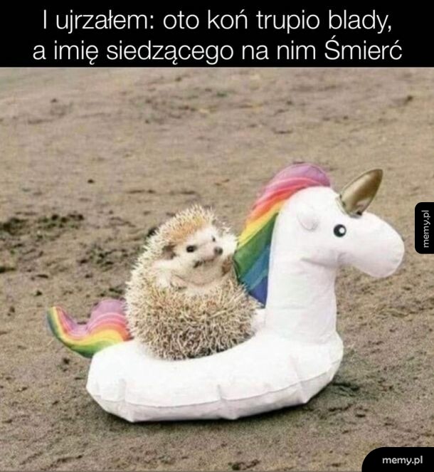 Strzeżcie się