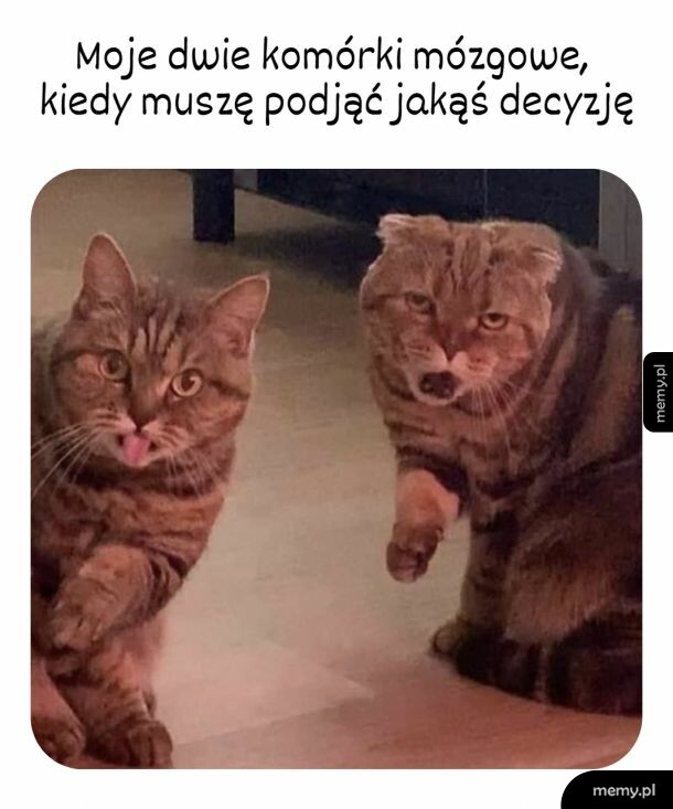 Yyyyy