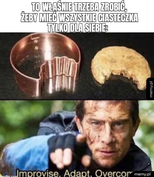 Protip na dziś