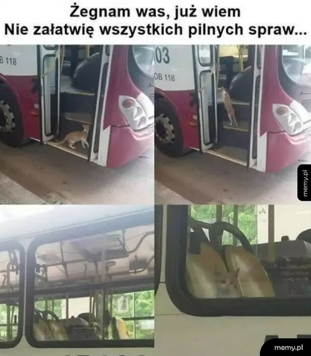 Na mnie już pora