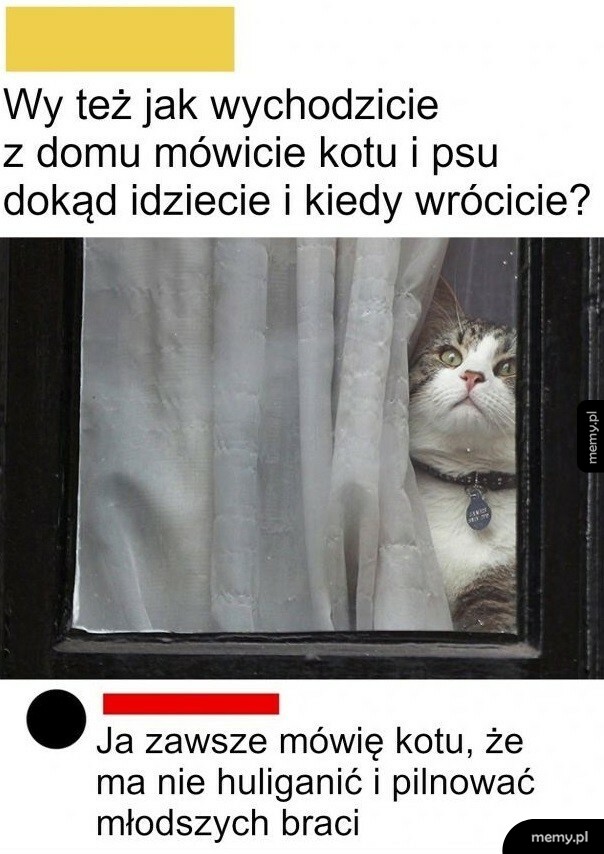 Oczywiście, że tak