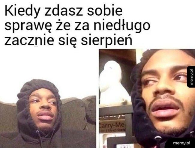 Sierpień na horyzoncie