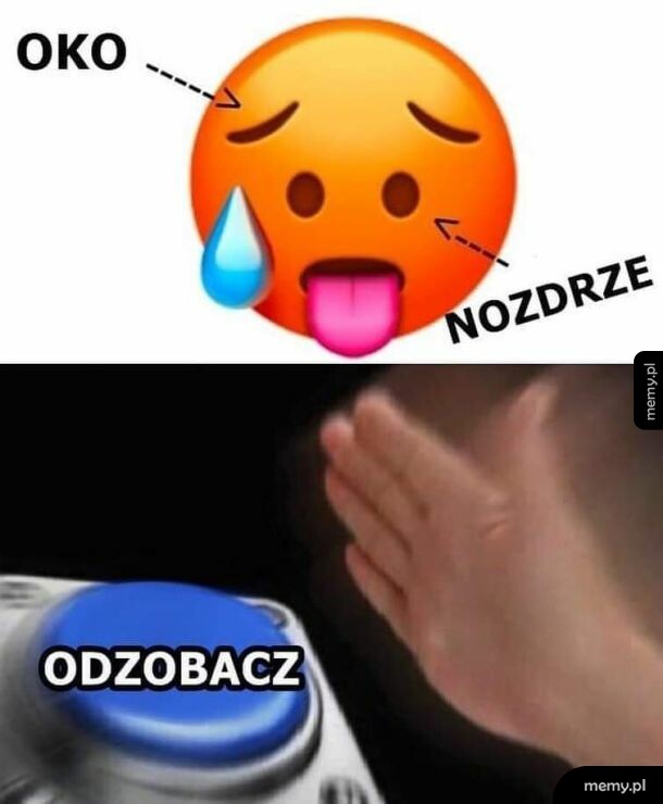 Smutna świnka