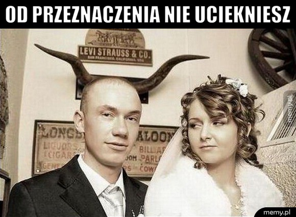 Przeznaczenie