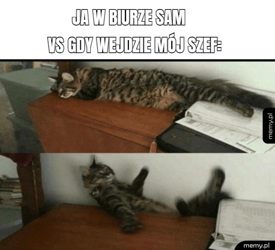 Trzeba się pilnować