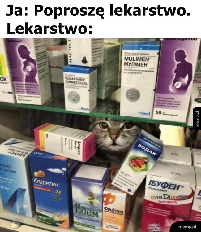 Lekarstwo na wszystko