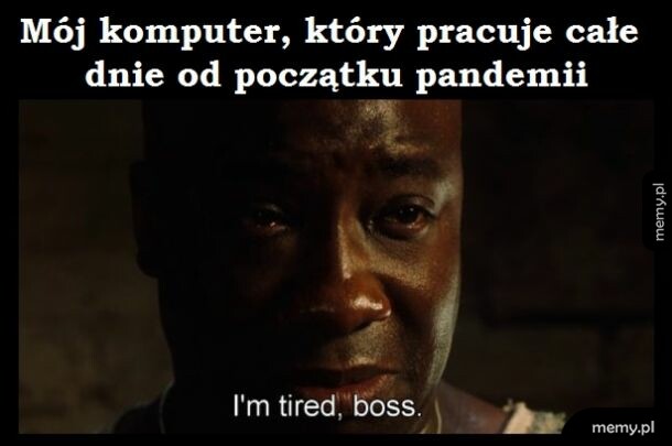 Dziękuję, że działasz :D