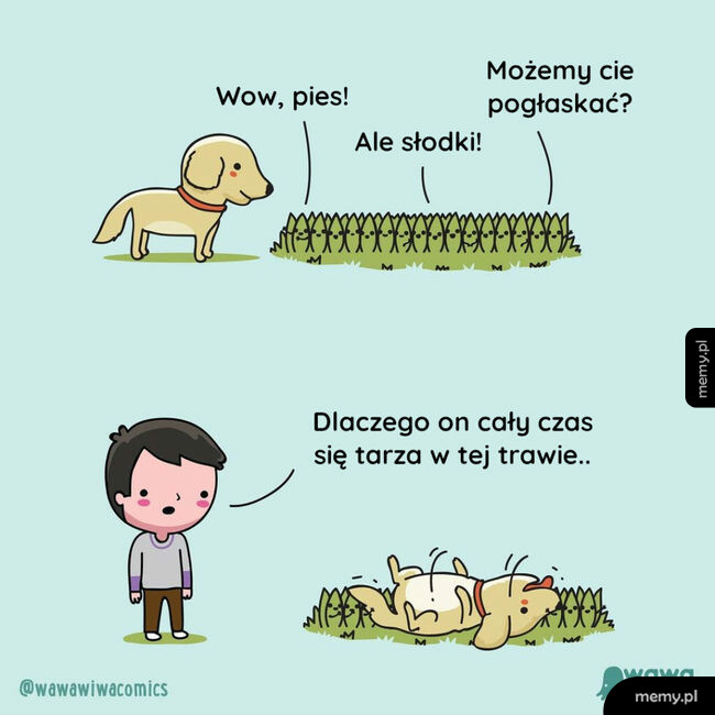 Trawa i piesek
