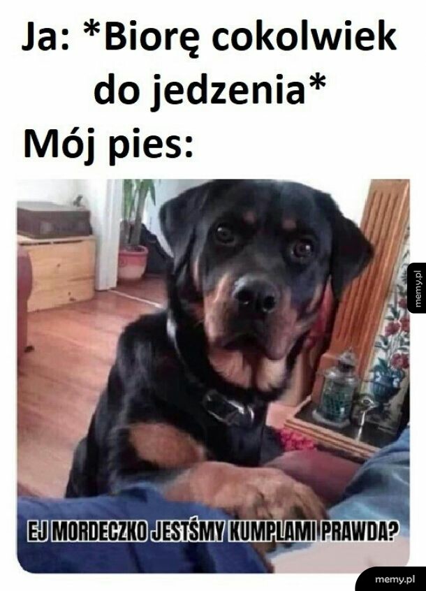 Ziomeczku, daj trochę