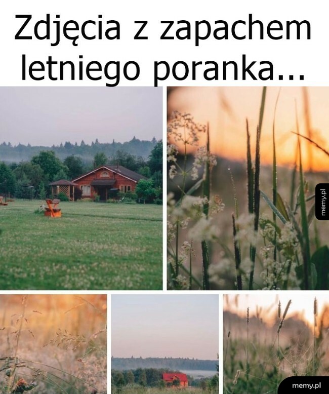 Zdjęcia z zapachem