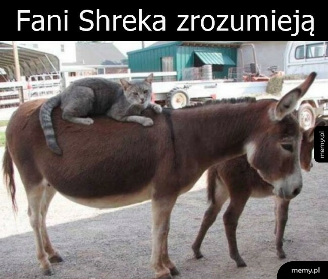 Prawie znajomy widok