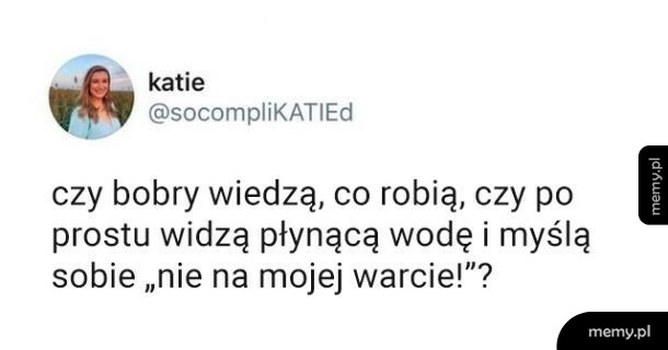 Bobry