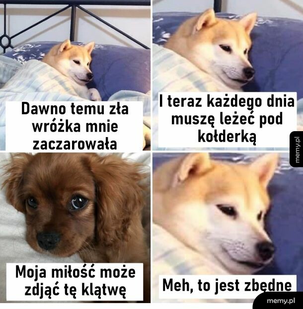 Klątwa
