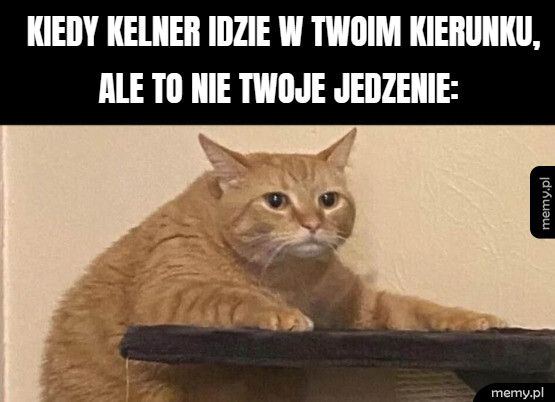 Czekanie na jedzonko