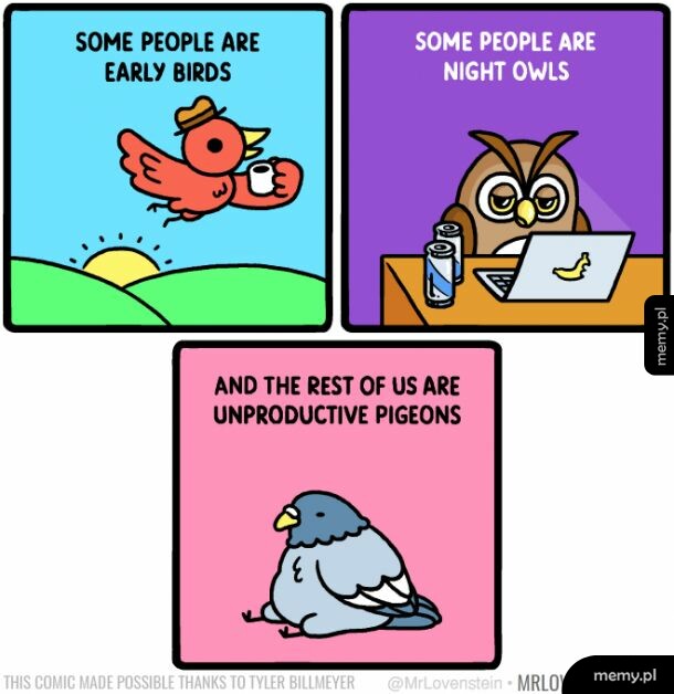 Jezdę gołębię