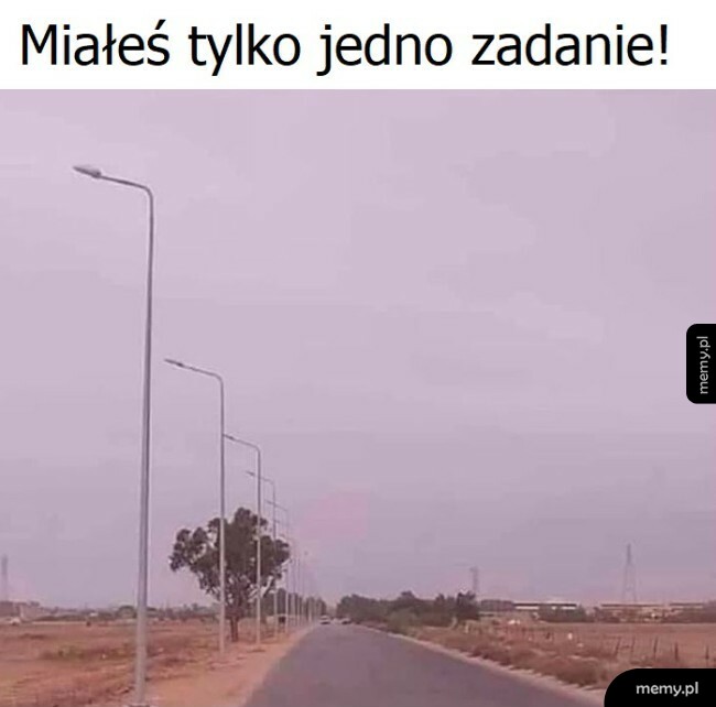 Tylko jedno zadanie
