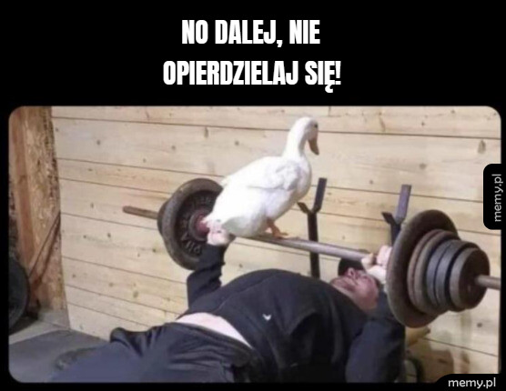 Trening z trenerem