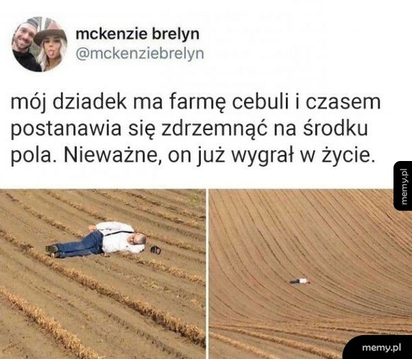 Wygrać w życie