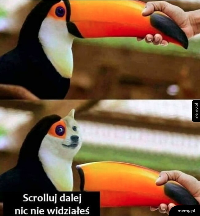 Scrolluj dalej
