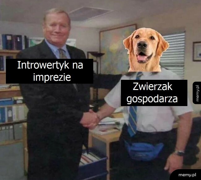 Introwertyk na imprezie