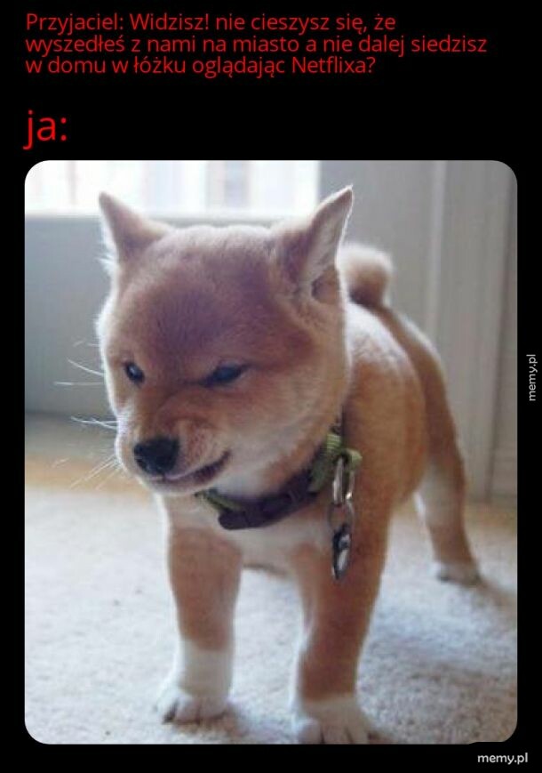 "Radość"