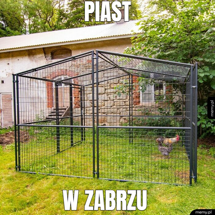 Piast w Zabrzu