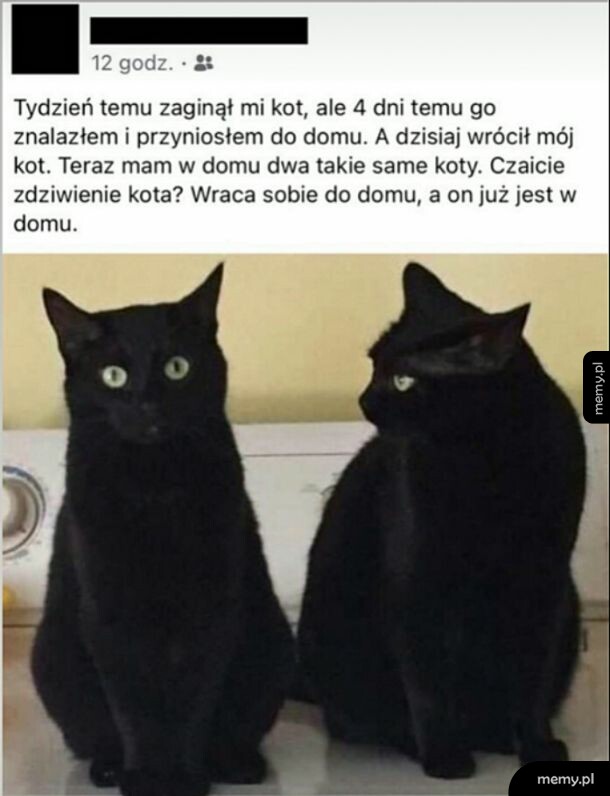 Błąd Matrixa