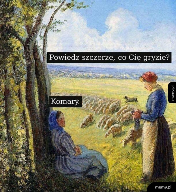 Nienawidzę