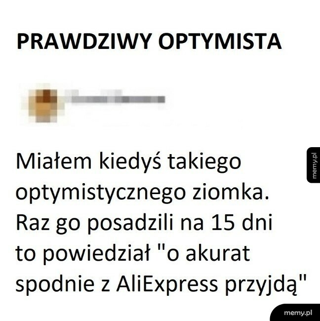 Ziomek optymista