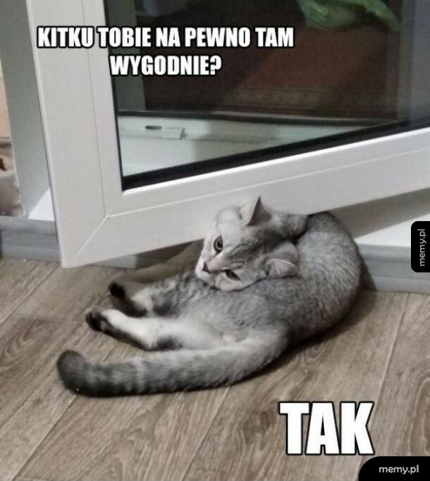 Tak, na pewno