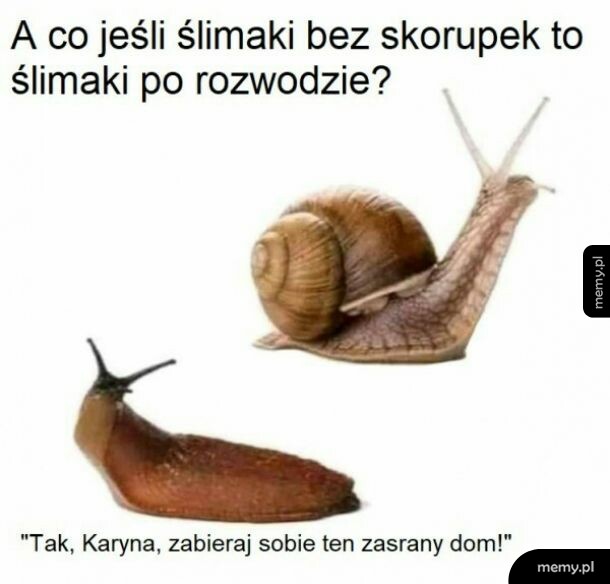 Zgoleni do zera