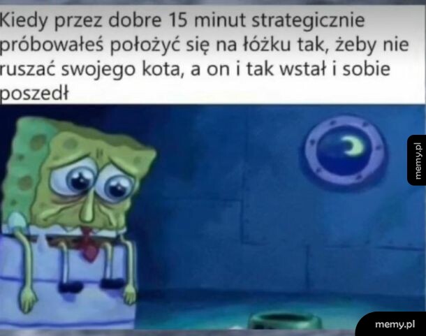Prawda