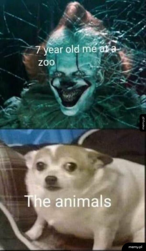 Prawda